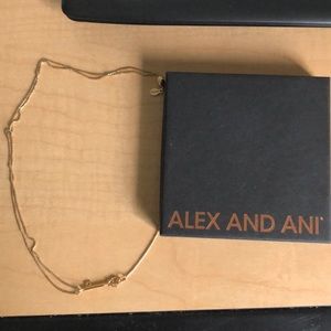 Alex and Ani necklace